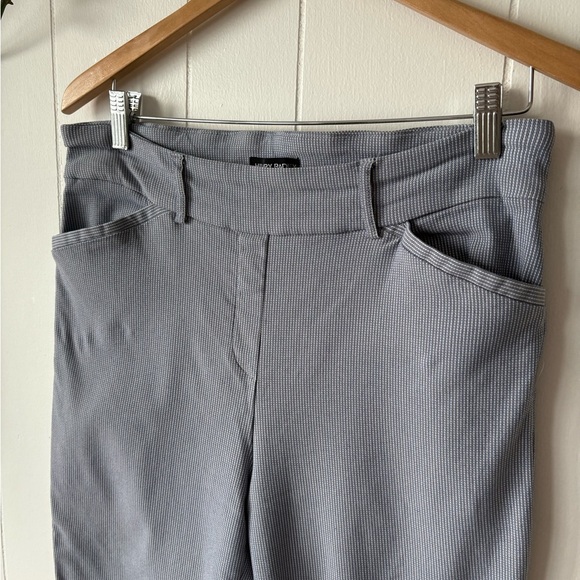 Hilary Radley Blue Striped Crop Pants | Size 12 - Picture 3 of 7